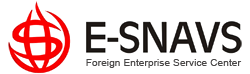 E-SNAVS Foreign Enterprise Service Center